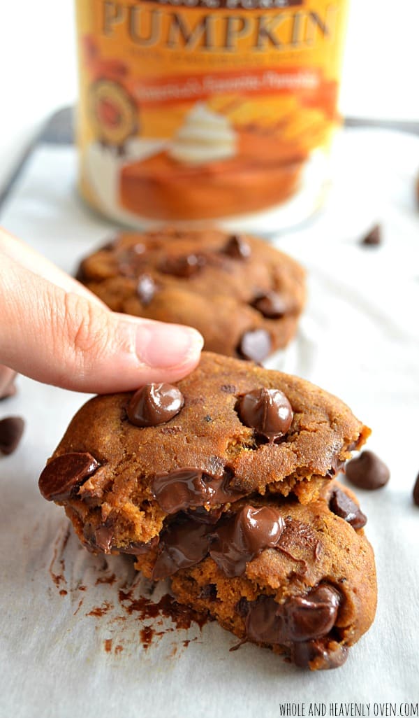 Hungry Girl Pumpkin Chocolate Chip Oatmeal Hungry Girl Pumpkin Chocolate Chip Oatmeal