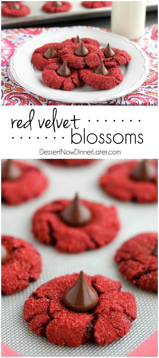 Red Velvet Blossoms - only 6 ingredients to make these chewy, chocolatey, red velvet cookies! Perfect for Valentine's Day or Christmas!