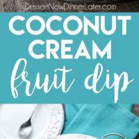 Coconut Cream Fruit Dip - This super easy 3-ingredient fruit dip is creamy and delicious paired with any fruit! A must for summer parties and potlucks, baby and bridal showers, or anytime! (+ Recipe Video!)