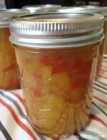 Spicy Peach Salsa