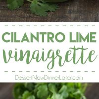 This Cilantro Lime Vinaigrette makes a great salad dressing or marinade for veggies and meat. It's creamy, tangy, and robust!