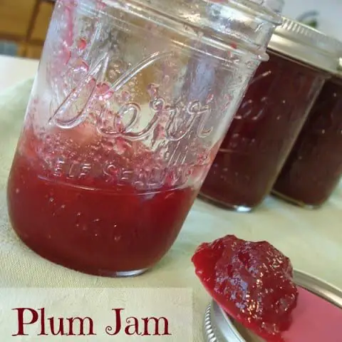 Plum Jam