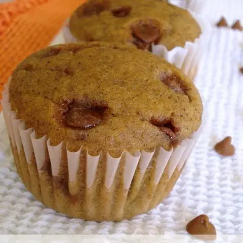 Cinnamon Chip Pumpkin Muffins