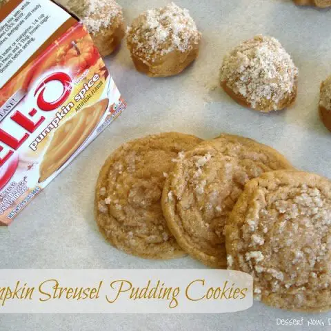 Pumpkin Streusel Pudding Cookies