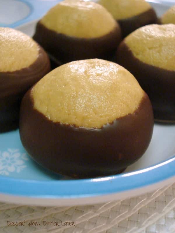 Chocolate Peanut Butter Buckeyes are the perfect holiday treat!