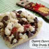 Cherry Chocolate Chip Crumb Bars are a unique and delicious treat!