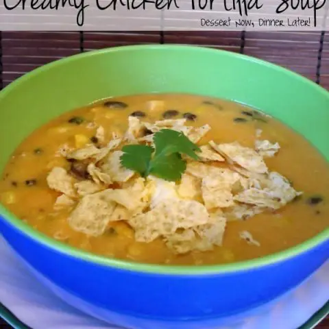 Creamy Chicken Tortilla Soup