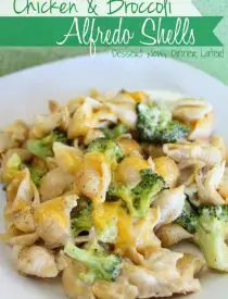 Chicken & Broccoli Alfredo Shells