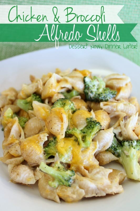 Chicken & Broccoli Alfredo Shells is a great way to use leftover rotisserie chicken in a cheesy pasta casserole. An easy dinner the whole family will love!