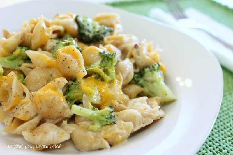 Chicken & Broccoli Alfredo Shells