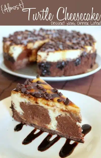 {Almost} Turtle Cheesecake