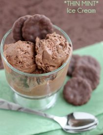 Chocolate Thin Mint Ice Cream