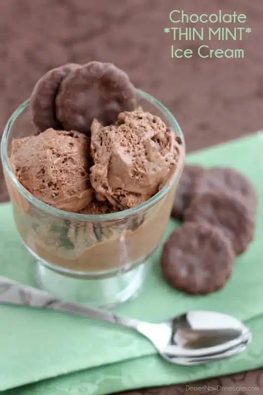 Chocolate Thin Mint Ice Cream