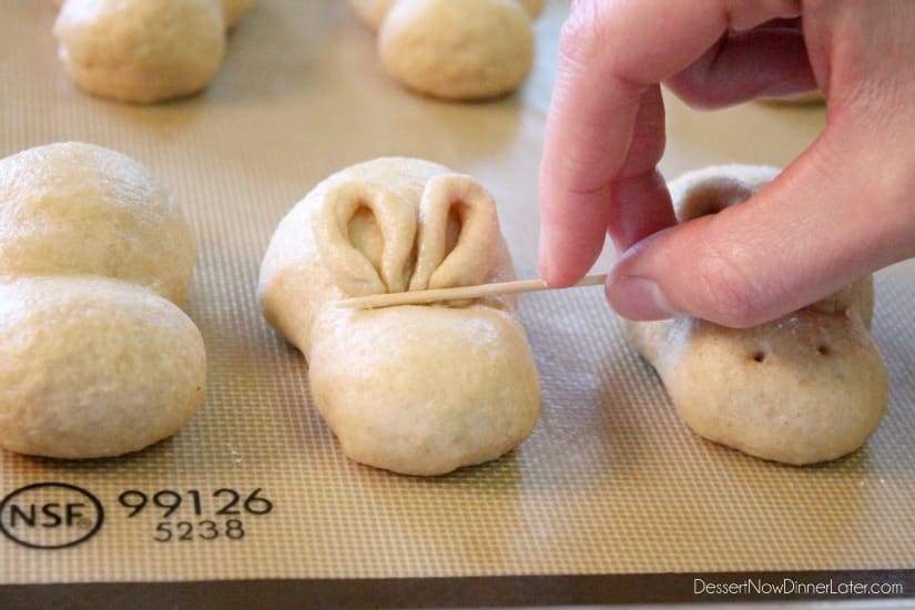 Fluffy Whole Wheat Bunny Rolls