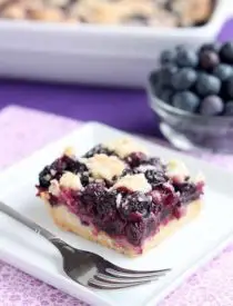 Blueberry Crumb Bars from DessertNowDinnerLater.com