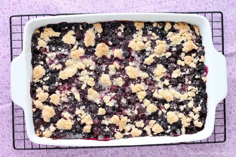  Blueberry Crumb Bars from DessertNowDinnerLater.com