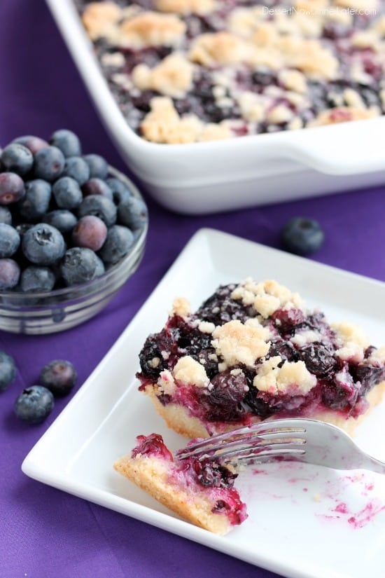  Blueberry Crumb Bars from DessertNowDinnerLater.com