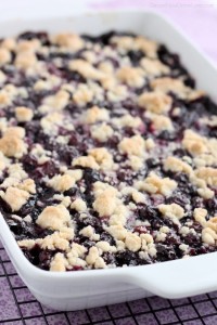 Blueberry Crumb Bars | Dessert Now Dinner Later
