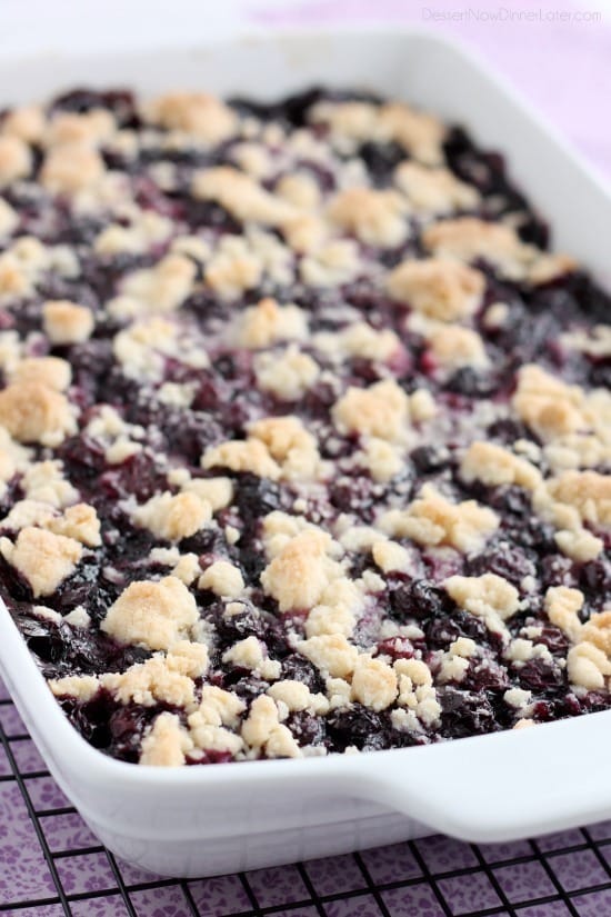  Blueberry Crumb Bars from DessertNowDinnerLater.com