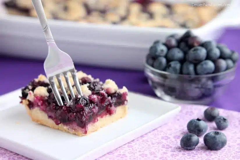  Blueberry Crumb Bars from DessertNowDinnerLater.com