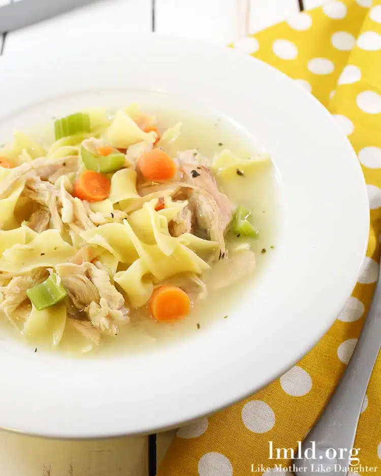 chicken noodle soup