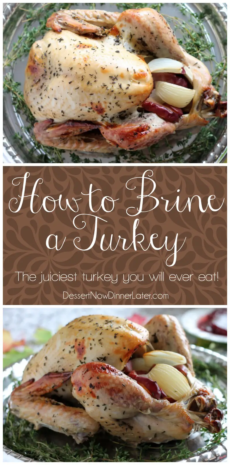 Step-by-step photo instructions on how to brine and cook a turkey to juicy perfection! From DessertNowDinnerLater.com