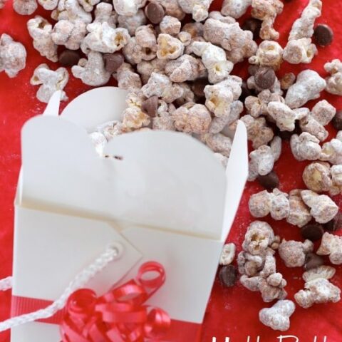 Muddy Buddy Popcorn - air popped corn, coated in chocolate, peanut butter, and powdered sugar. From DessertNowDinnerLater.com