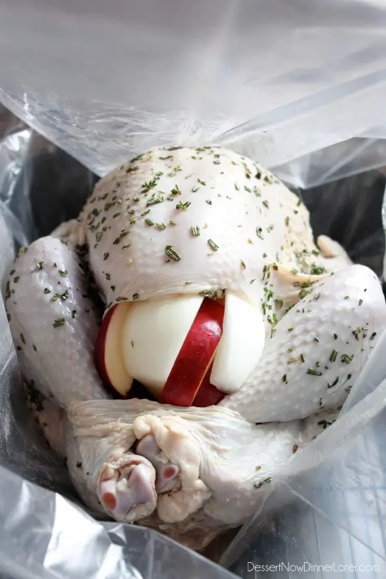 Our favorite Apple and Herb Turkey Brine with step-by-step photos on how to brine and cook a turkey to juicy perfection! From DessertNowDinnerLater.com