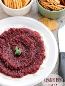 This fresh Cranberry Salsa is pureed and served over cream cheese for a spicy-sweet appetizer. From DessertNowDinnerLater.com