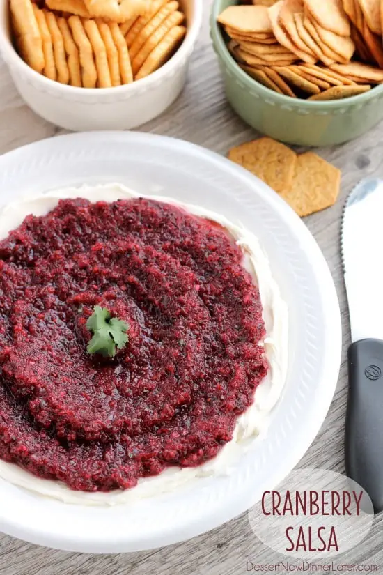 This fresh Cranberry Salsa is pureed and served over cream cheese for a spicy-sweet appetizer. From DessertNowDinnerLater.com