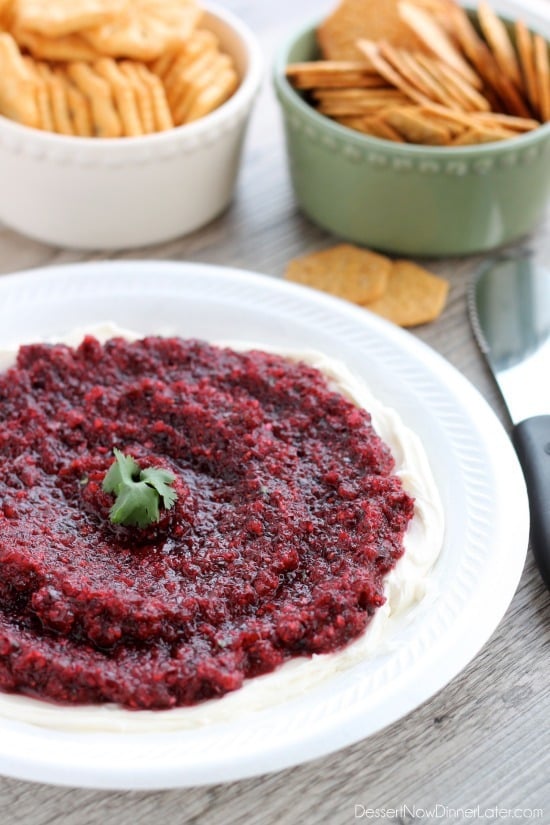 This fresh Cranberry Salsa is pureed and served over cream cheese for a spicy-sweet appetizer. From DessertNowDinnerLater.com