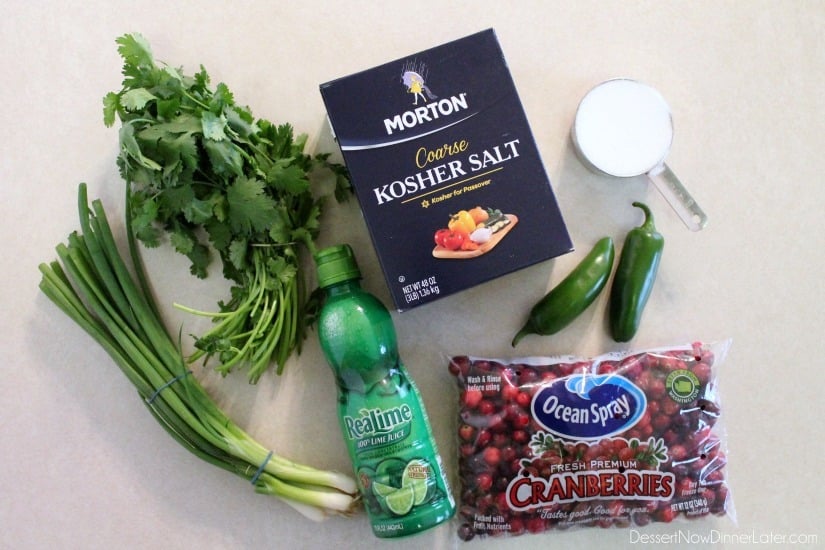 Fresh Cranberry Salsa ingredients. From DessertNowDinnerLater.com