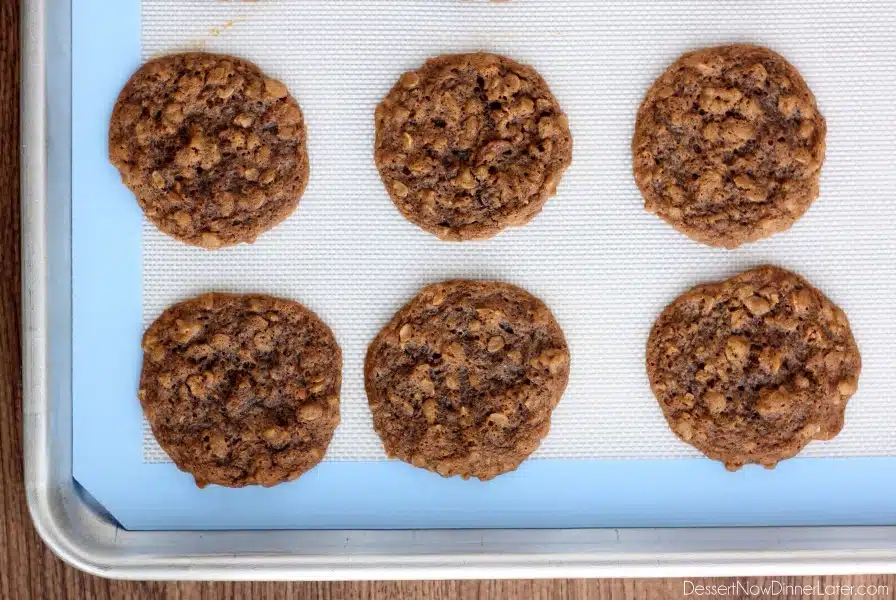 Gingersnap Oatmeal Cookies - Soft baked gingersnap cookies with the addition of old fashioned oats to make a chewy, delectable cookie! From DessertNowDinnerLater.com