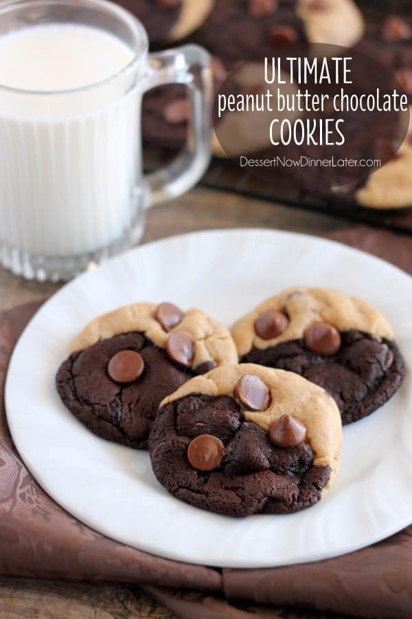 Ultimate Peanut Butter Chocolate Cookies Dessert Now Dinner Later