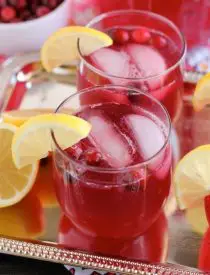 Sparkling Cranberry Punch - the perfect beverage for a non-alcoholic party drink or mocktail with only 3 ingredients!