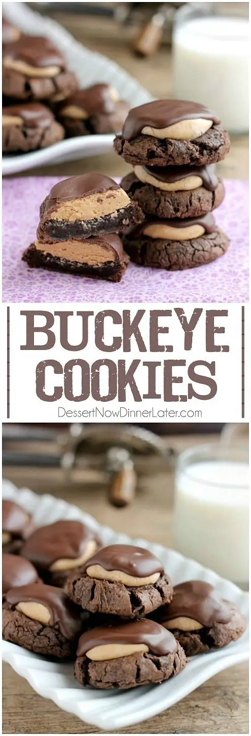 Buckeye Cookies - a chocolate brownie cookie base, topped with peanut butter balls, all covered in chocolate! These are insanely delicious!