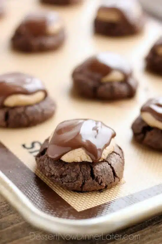 Buckeye Cookies - a chocolate brownie cookie base, topped with peanut butter balls, all covered in chocolate! These are insanely delicious!