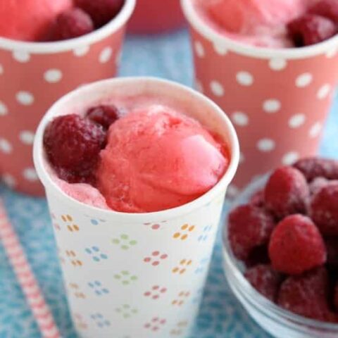 This Pink Sherbet Punch is only 2 ingredients for a fizzy, frothy drink! Add frozen fruit for a garnish and you've got a party punch great for baby showers, Valentine's Day, or summer gatherings!