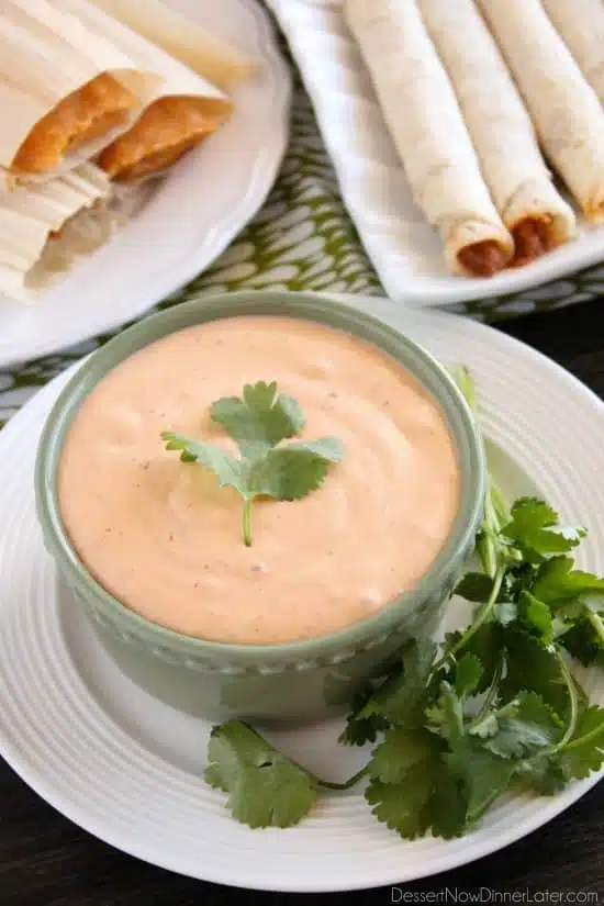 This 4 ingredient Chipotle Ranch makes a delicious dip or dressing!