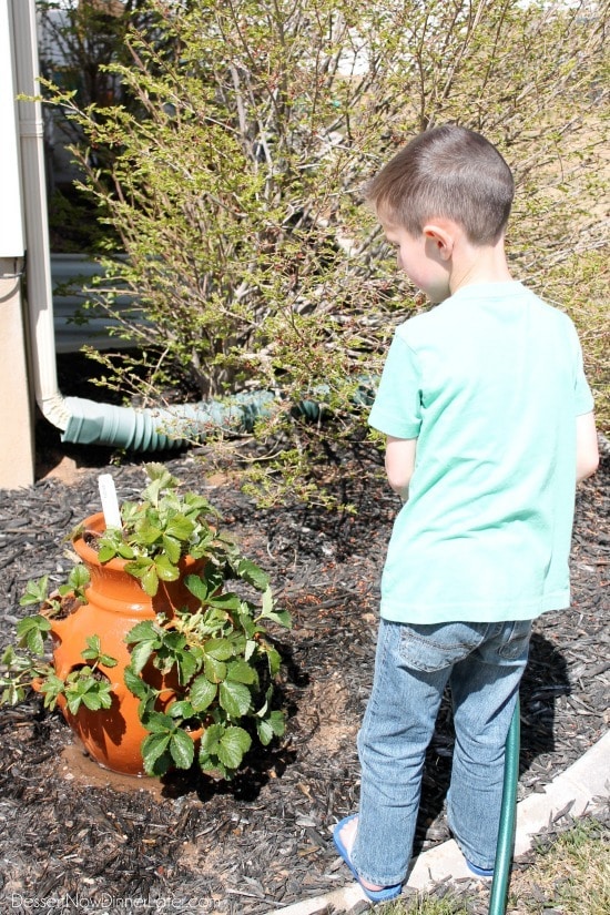 Get your kids involved with watering the plants and garden. They love to watch things grow!