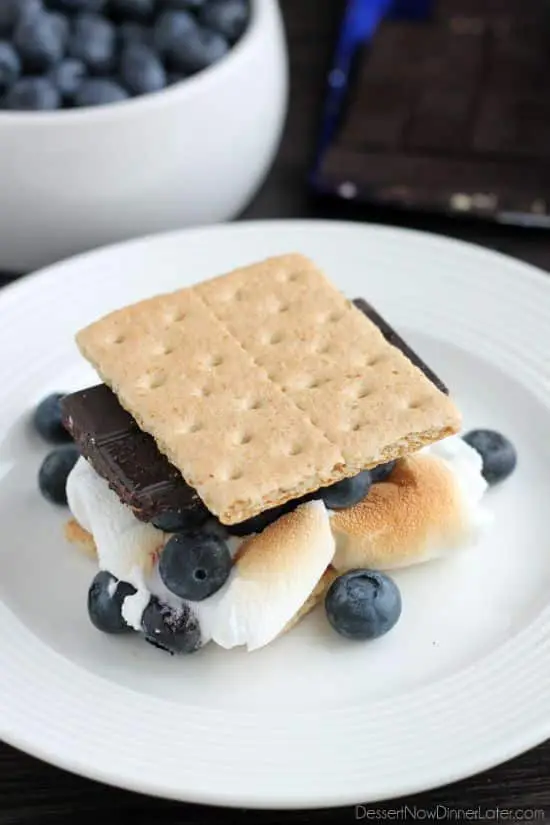 Blueberry S'mores - honey graham crackers, fresh blueberries, gooey marshmallows, and Brookside's Blueberry & Cranberry Almond Chocolate Bar.
