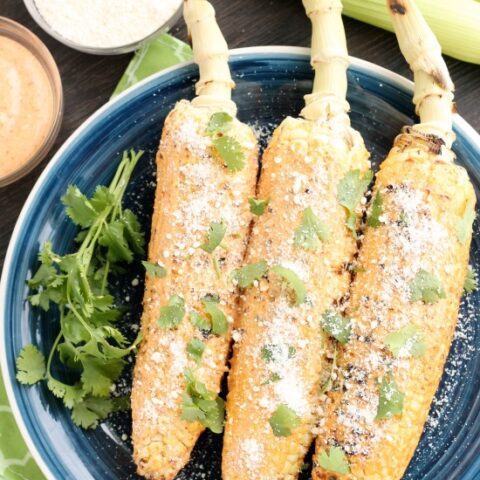 This Mexican Corn on the Cob is grilled and slathered in a chili-lime mayo. Finish it off with a sprinkle of cheese and you won't want corn on the cob any other way!