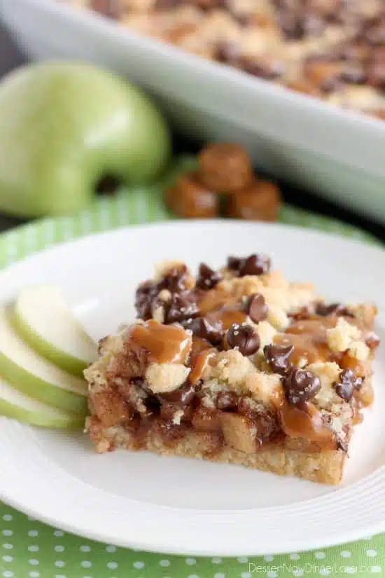 Chocolate Caramel Apple Crumb Bars - These dessert bars have a buttery crust and crumble on top, a gooey cinnamon-sugar apple filling, with caramels, chocolate chips, and sea salt sprinkled on top.