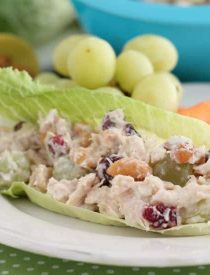 This lightened up chicken salad uses greek yogurt, a blend of seasonings, fruit, and nuts to give it its delicious flavor. Great with whole wheat bread or a lettuce cup, this skinny chicken salad will satisfy your hunger.