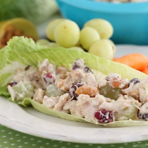 This lightened up chicken salad uses greek yogurt, a blend of seasonings, fruit, and nuts to give it its delicious flavor. Great with whole wheat bread or a lettuce cup, this skinny chicken salad will satisfy your hunger.