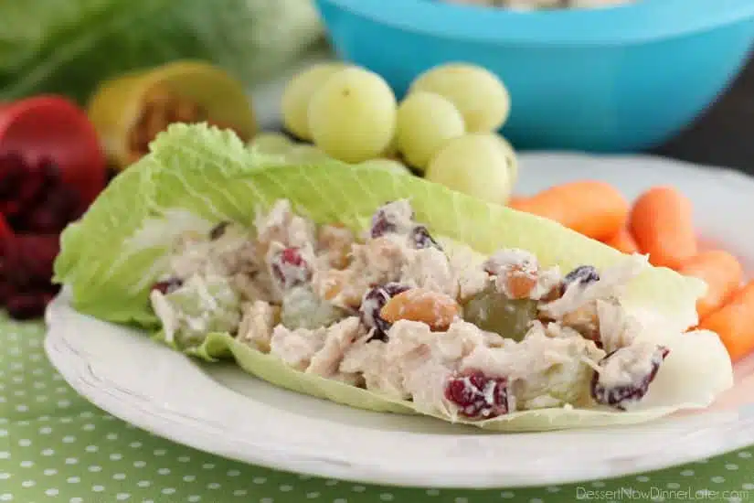 This lightened up chicken salad uses greek yogurt, a blend of seasonings, fruit, and nuts to give it its delicious flavor. Great with whole wheat bread or a lettuce cup, this skinny chicken salad will satisfy your hunger.