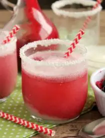 This Berry Coconut Spritzer is a refreshing and easy mocktail to mix up at any holiday party!