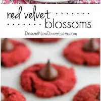 Red Velvet Blossoms - only 6 ingredients to make these chewy, chocolatey, red velvet cookies! Perfect for Valentine's Day or Christmas!