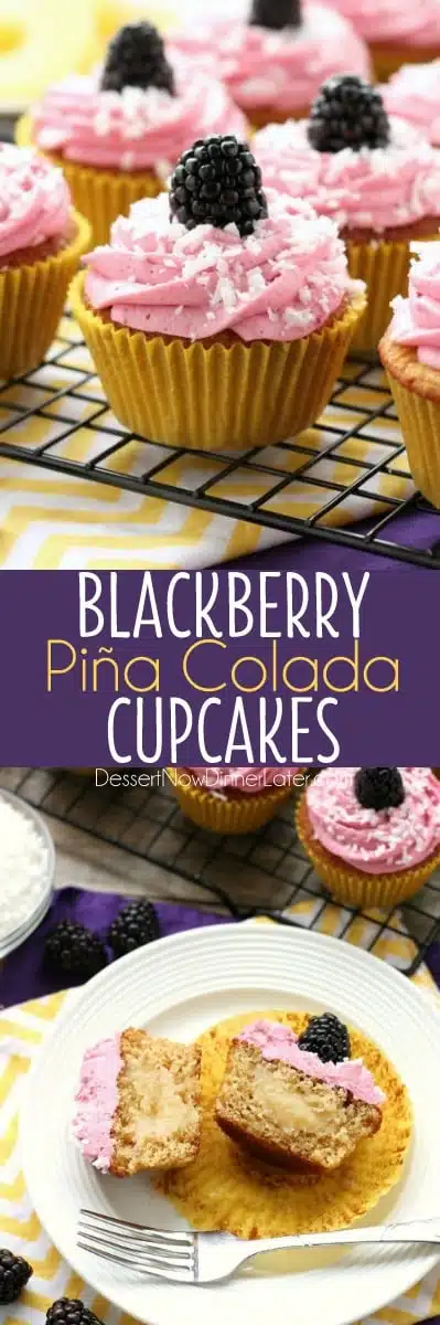 Blackberry Piña Colada Cupcakes - Moist coconut cupcakes with a sweet pineapple and rum filling topped with fresh blackberry frosting. A delicious drink inspired cupcake with a twist! (Cupcake Battles WINNER!)