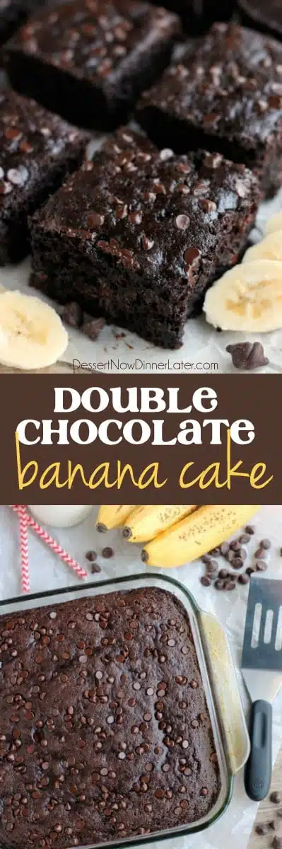 Double Chocolate Banana Cake is lightly sweet, moist, and chocolatey. No frosting required!